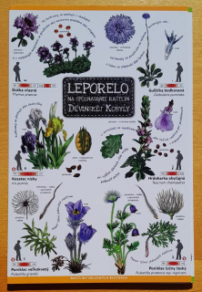 Leporelo na spoznávanie rastlín Devínskej Kobyly