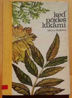 Keď pôjdeš lúkami